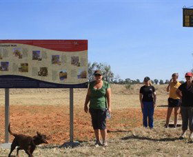 Coolibah Walk - New Castle Tourism 0