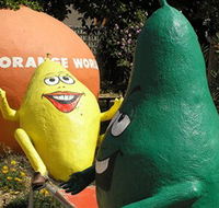 Orange World - New Castle Tourism