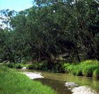 Salvator Rosa Section - Carnarvon National Park - New Castle Tourism