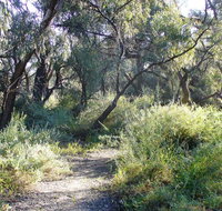 Nilla Yannagalang Billana