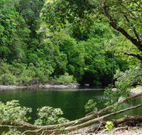 Broadwater Abergowrie State Forest - New Castle Tourism