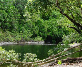 Broadwater, Abergowrie State Forest - New Castle Tourism 0