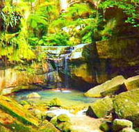 Carnarvon Gorge Carnarvon National Park - New Castle Tourism
