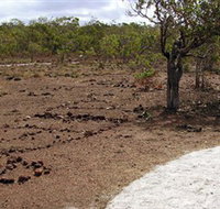 Wurrwurrwuy Garanhan Macassan Beach Interpretive Walk