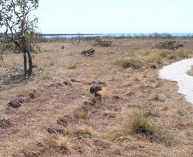 Wurrwurrwuy (Garanhan) Macassan Beach Interpretive Walk - Newcastle Accommodation 5