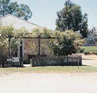 Kidman Wines - New Castle Tourism
