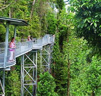 Mamu Tropical Skywalk - New Castle Tourism