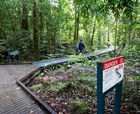 Josephine Falls, Wooroonooran National Park - New Castle Tourism 2