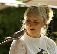 Simply Tomatoes - Newcastle Accommodation