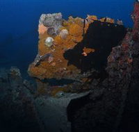 Lady Bowen Dive Site - New Castle Tourism