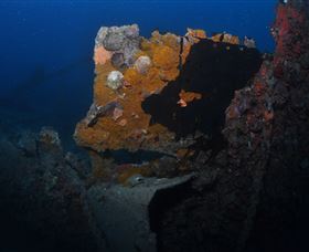 Lady Bowen Dive Site - New Castle Tourism 0