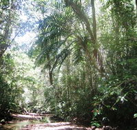 Mount Lewis National Park - New Castle Tourism