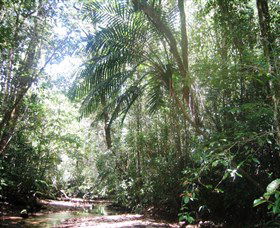 Mount Lewis National Park - New Castle Tourism 0