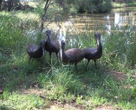 East Tolans Farm Tour - New Castle Tourism 0