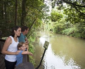 Platypus Viewing At Broken River - New Castle Tourism 1
