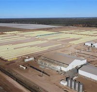 Southern Cotton Gin - New Castle Tourism