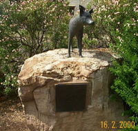 Dingo Statue - New Castle Tourism