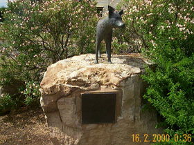 Dingo Statue - New Castle Tourism 0