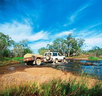 Rinyirru Lakefield National Park CYPAL - New Castle Tourism