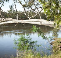Murray Valley National Park - New Castle Tourism
