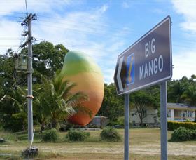 Big Mango - Newcastle Accommodation 0