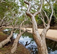 Oyala Thumotang National Park CYPAL - New Castle Tourism