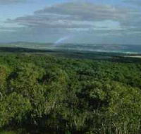 Mount Richmond National Park - New Castle Tourism