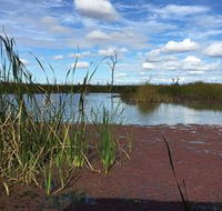Gwydir Wetlands - New Castle Tourism