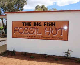 Big Fish Fossil Hut At Peak Hill - Newcastle Accommodation 0
