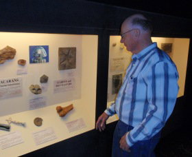 Big Fish Fossil Hut At Peak Hill - Newcastle Accommodation 1