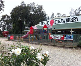 Cobram East VIC New Castle Tourism