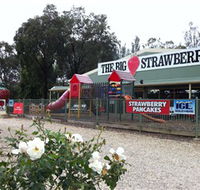 The Big Strawberry - New Castle Tourism