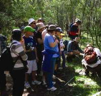 Warrumbungle National Park Discovery Program