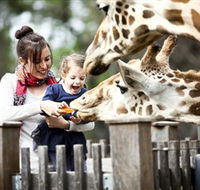Taronga Western Plains Zoo Dubbo - New Castle Tourism