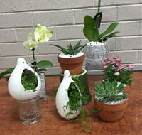 Cobram Florist - New Castle Tourism