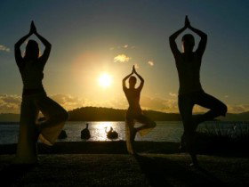 Daydream Island Resort And Spa - Newcastle Accommodation 0