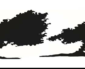 Ariah Park 1920s Heritage Village - Newcastle Accommodation 3