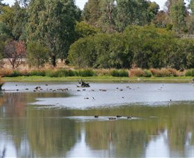 Mooroopna North West ACT Newcastle Accommodation