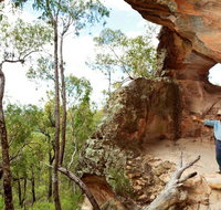 Pilliga National Park - Newcastle Accommodation