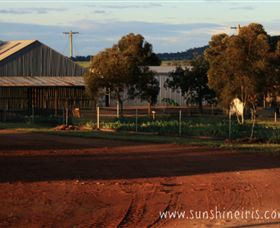 Sunshine Iris Nursery - Newcastle Accommodation 1