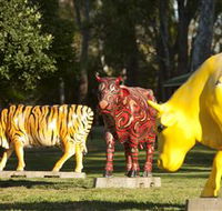 Greater Shepparton's Moooving Art - Newcastle Accommodation
