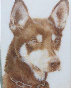 Doris Golder Wool Art Gallery - Newcastle Accommodation 1