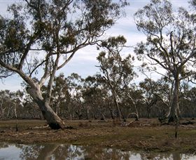 Murchison Rail Trail - New Castle Tourism 1