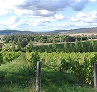 Sassy Wines - New Castle Tourism
