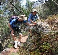Mount Arthur Reserve - New Castle Tourism