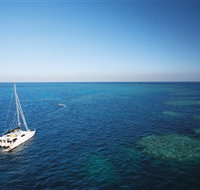 Bait Reef and Garys Lagoon Dive Site