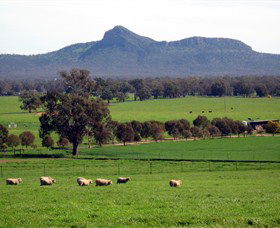 The Rock Nature Reserve - New Castle Tourism 0