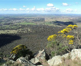 The Rock Nature Reserve - New Castle Tourism 4