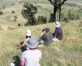 The Rock Nature Reserve - New Castle Tourism 2