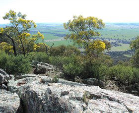 The Rock Nature Reserve - New Castle Tourism 6